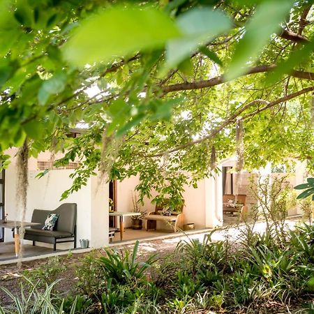 Bed and Breakfast Francines Venue Pty Ltd à Hoedspruit Extérieur photo