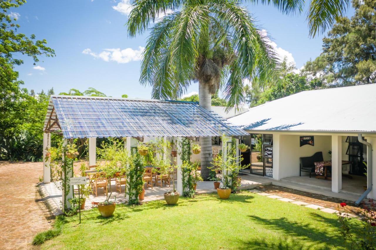 Bed and Breakfast Francines Venue Pty Ltd à Hoedspruit Extérieur photo