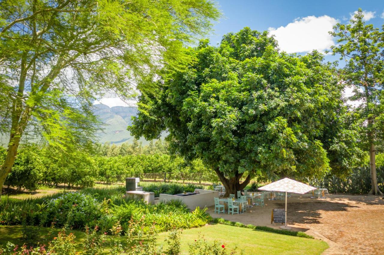 Bed and Breakfast Francines Venue Pty Ltd à Hoedspruit Extérieur photo